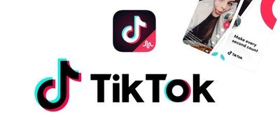 TikTok下载后怎么没网络?可能是设置的问题!