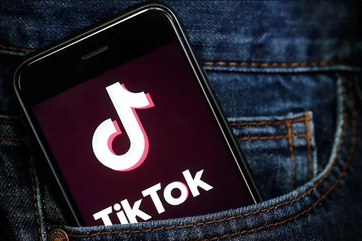 TikTok国内网络怎么用?探索TikTok国内网络的新玩法