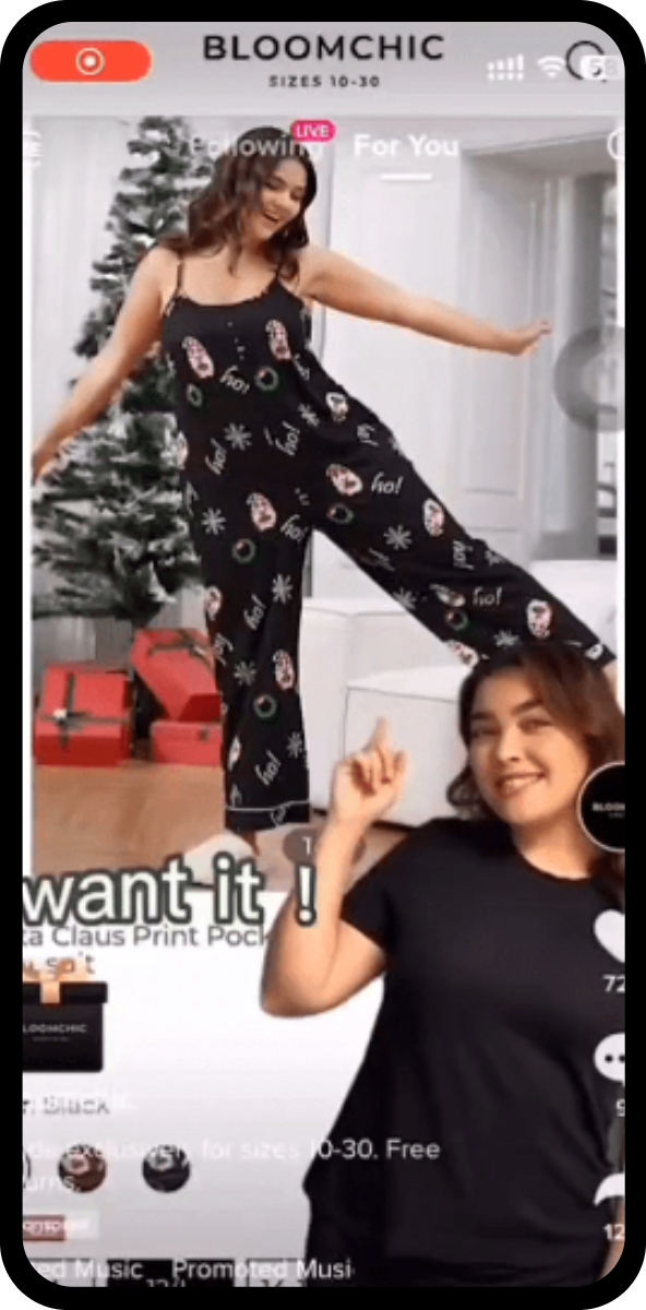 展示示例: BloomChic